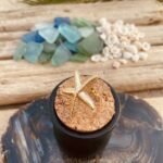 Golden Starfish Statement Ring