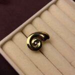 Golden Nautilus Shell Statement Ring