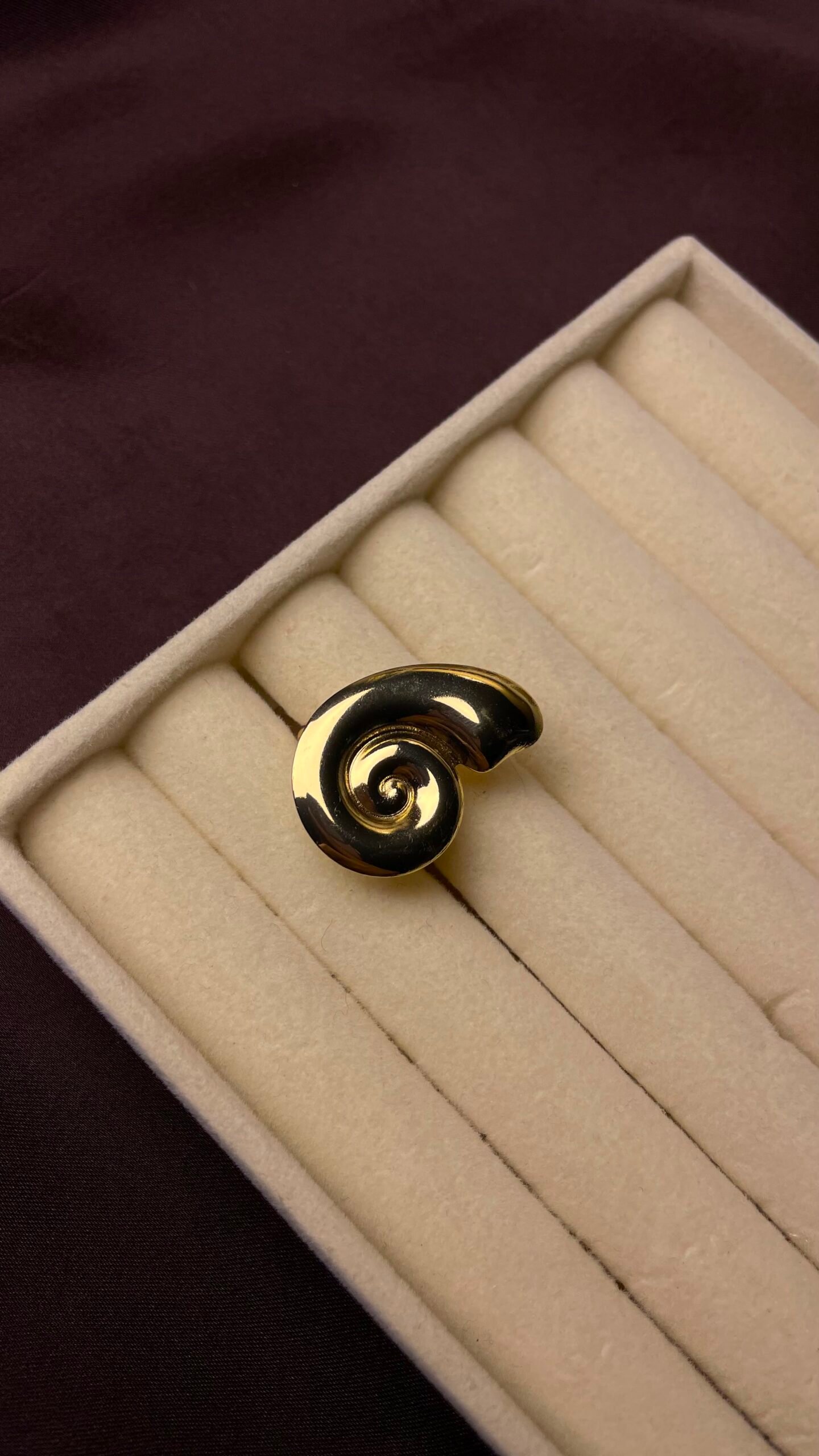 WhatsApp Image 2026-08-19 at 1.48.35 PM (1) Golden Nautilus Shell Statement Ring - Image 1